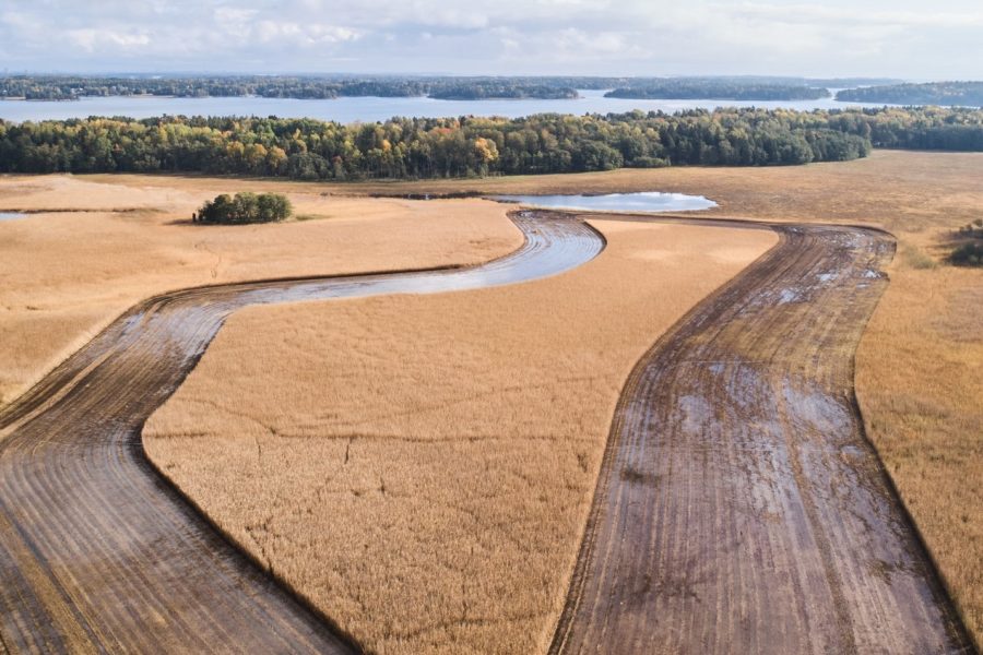 Baltic Reed Seminar