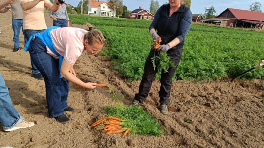 8.-10.9.2025 Ce4Re project in Sandviken Study Tour.