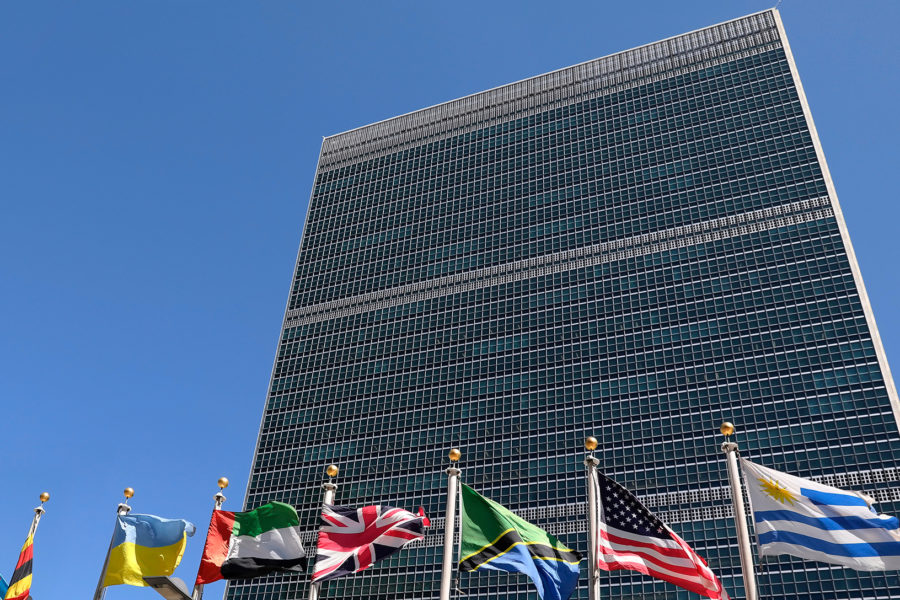 Introducing UN Organizations video series