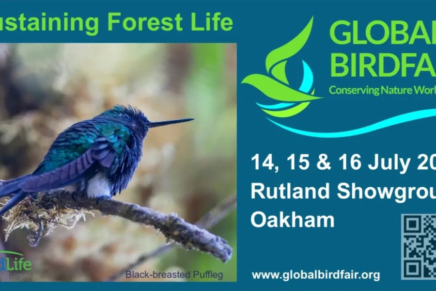 Global Birdfair, 14 - 16 July 2023, UK