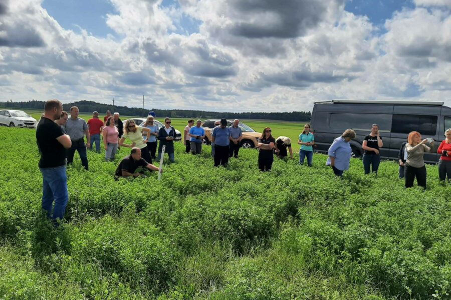 Sustainable silage field day in Estonia
