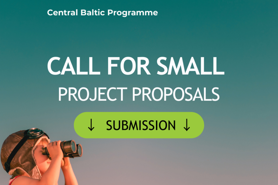 Call for Small Project Proposals (submission)