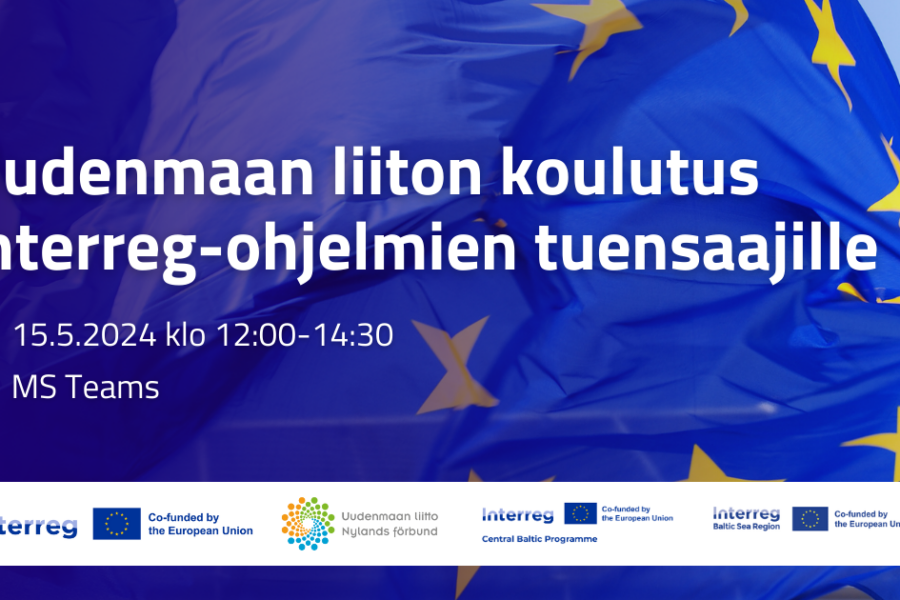 Online Training for Finnish Project Partners
