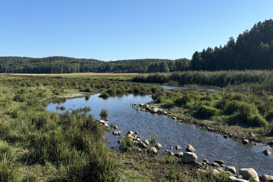 Kila river in Erkan wetland, in Sweden