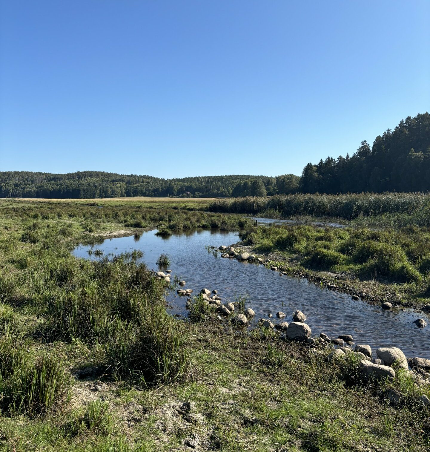 Kila river in Erkan wetland, in Sweden