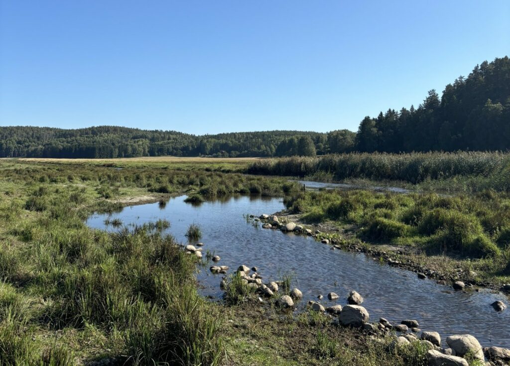 Kila river in Erkan wetland, in Sweden