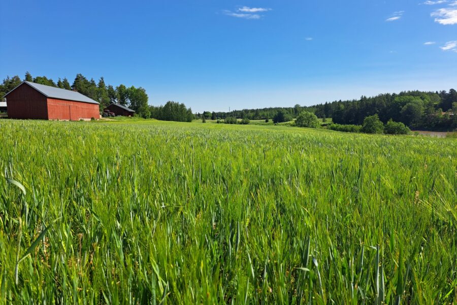 Join the seminar dedicated to nutrient recycling in the Baltic Sea region