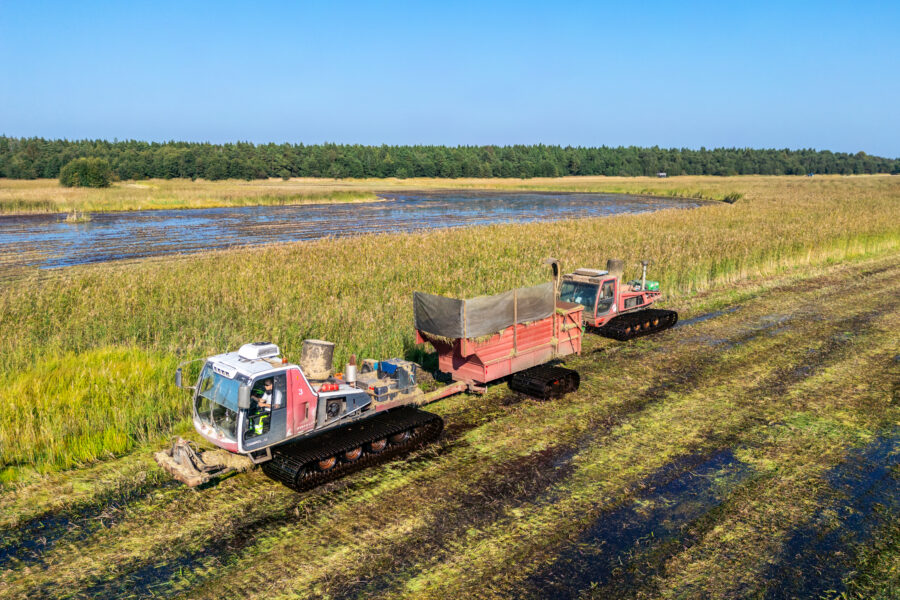 Baltic Reed workshop: From innovation to product