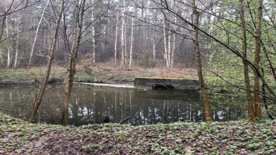 The MUSTBE pilot site in Riga is in a river area called Šmerļupīte. Over the history, it has been heavily affected by the economic activities of the city.