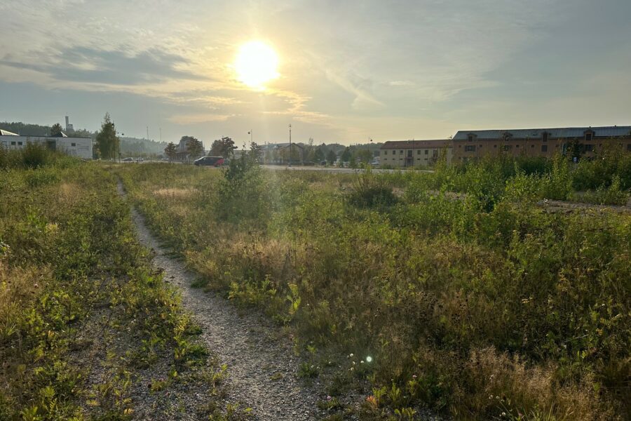 Pilot Site in Spotlight: Rebuilding Urban Ditches for Stormwater Purification in Söderhamn