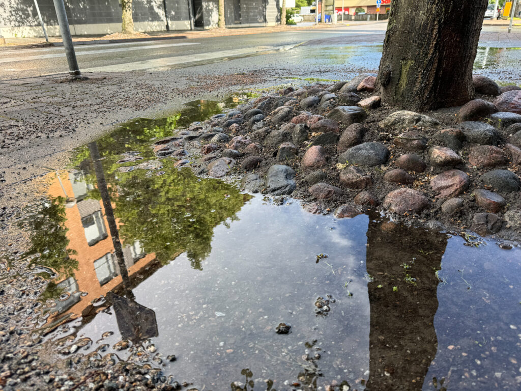 An urban puddle by a tree