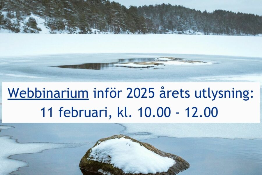 Information webinar in Swedish - prepare for our next call in 2025