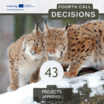 The Fourth Round of Calls Concludes with 43 Projects Approved for Funding