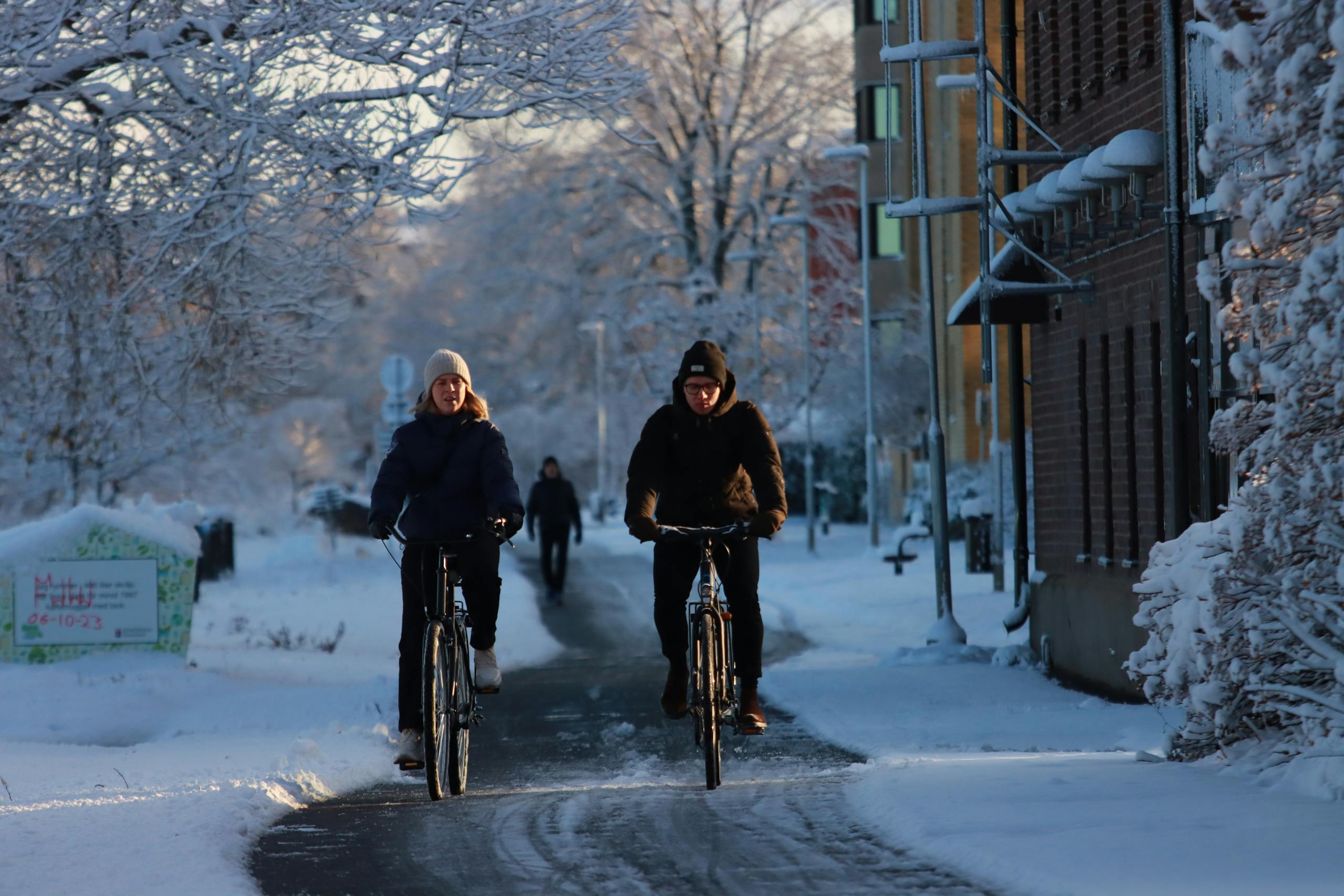 A man and a woman cycling on a snow-covered street lined with bare trees in winter.