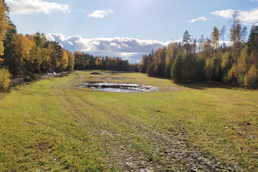 Plan to action: Building the project’s first wetland