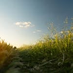 Join the EUSBSR Webinar: Innovative Water and Nutrient Management Solutions for Rural Areas