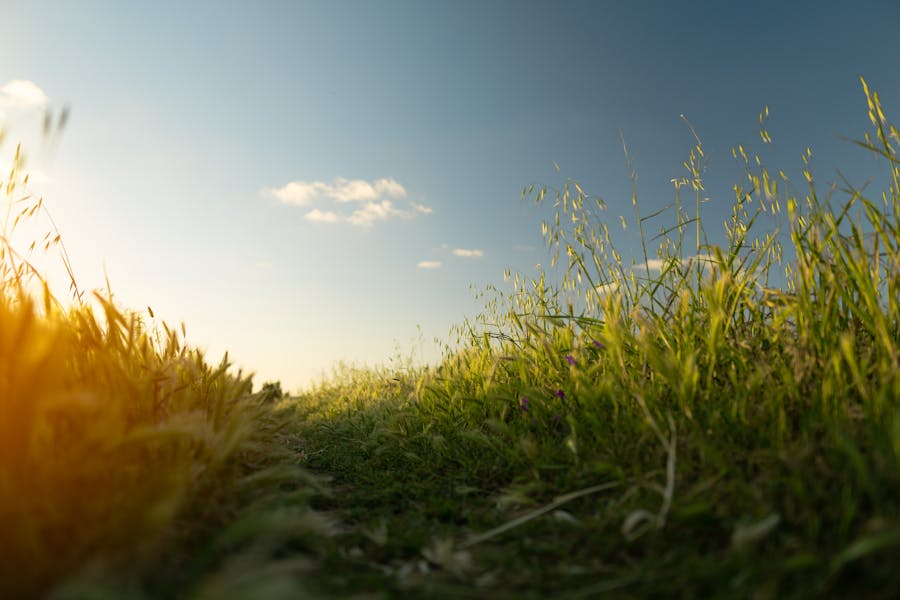 Join the EUSBSR Webinar: Innovative Water and Nutrient Management Solutions for Rural Areas