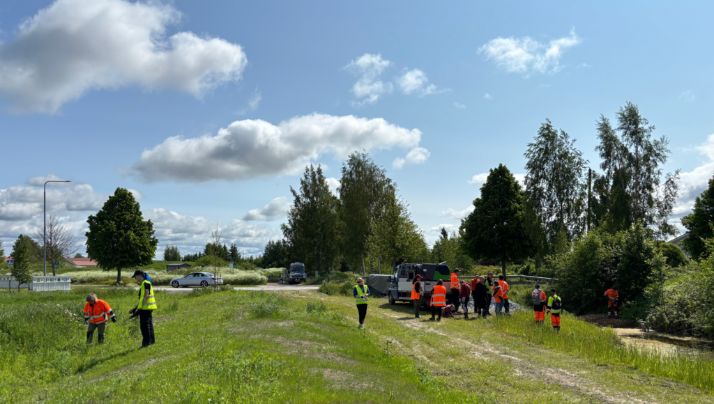 Volunteers removing invasive species at the Lotskeri wetland.