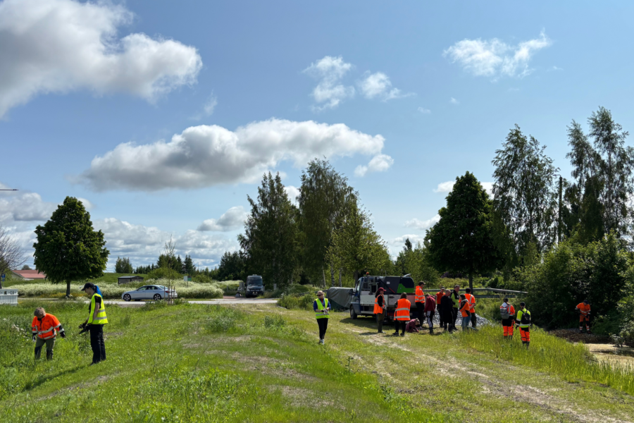 Volunteer Work and Monitoring at the Wetland pilot site in Pori
