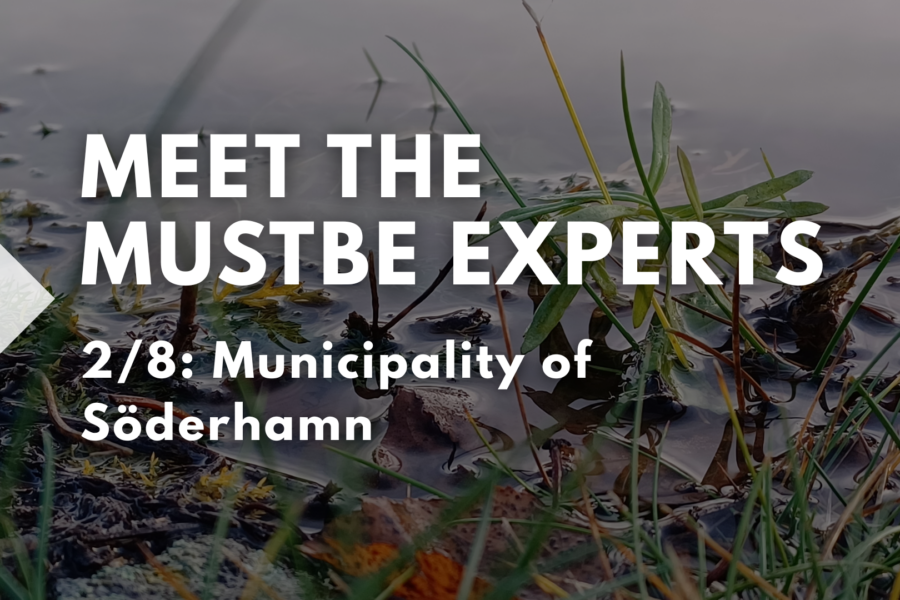 Meet the MUSTBE Experts 2/8: Municipality of Söderhamn