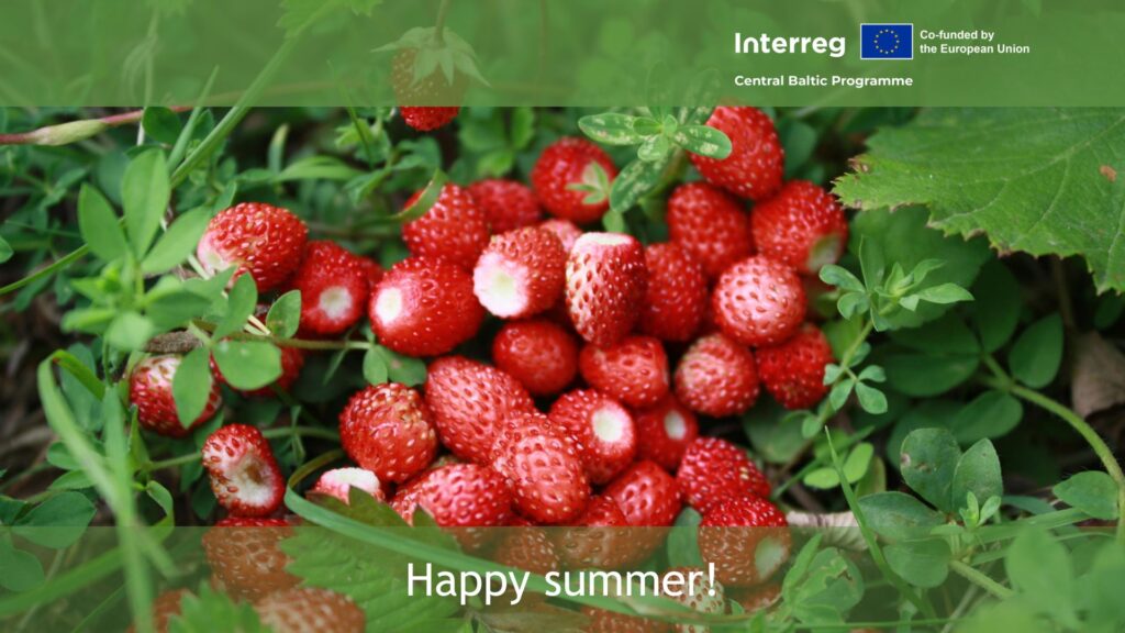 Wild strawberries