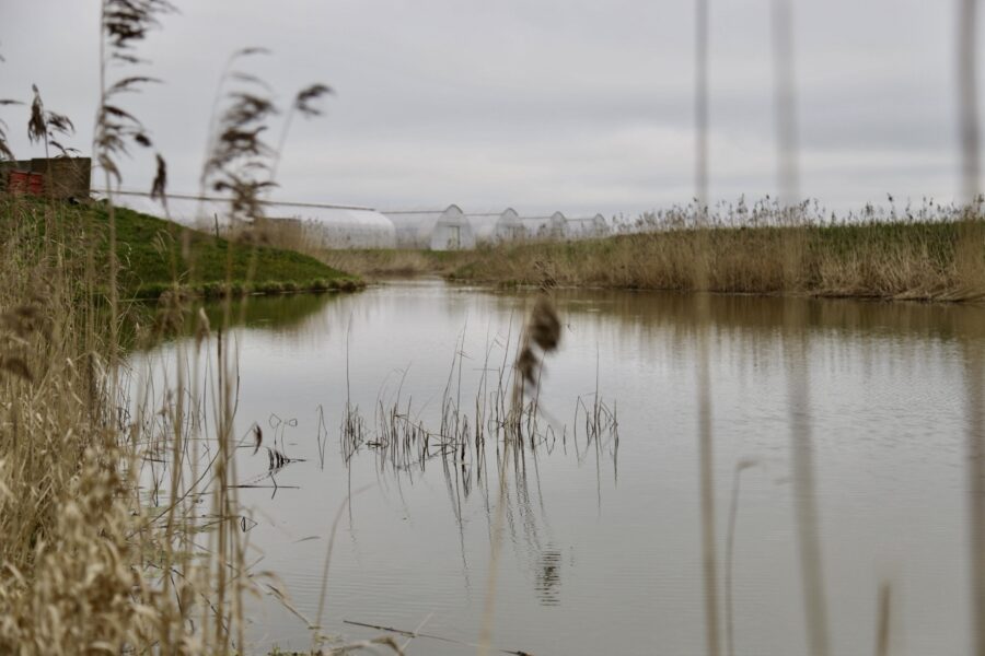 Seeing is believing: stakeholders visit Latvian wetland firsthand