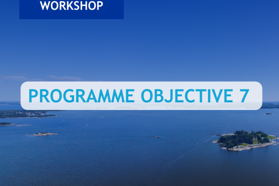Programme Objective 7 thematic workshop