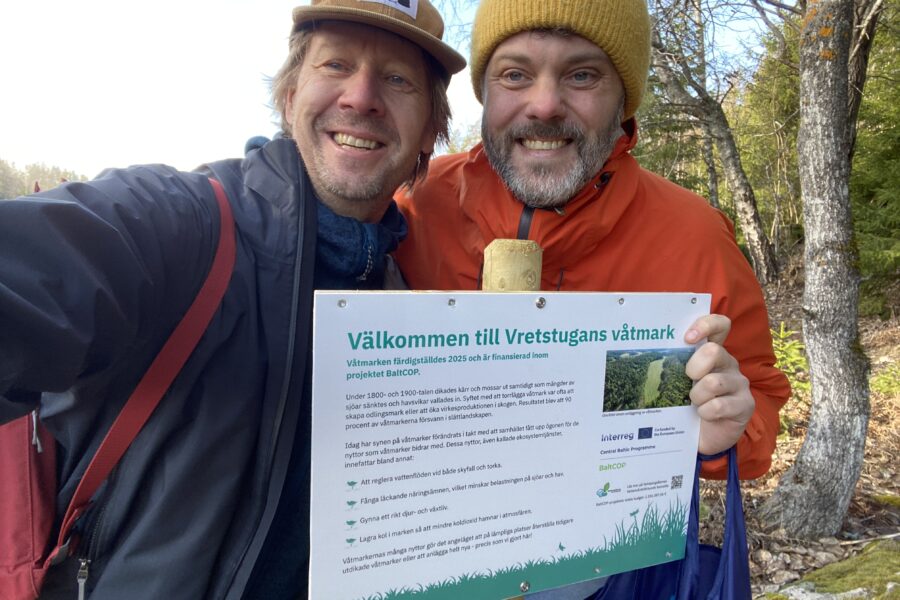 Halfway Through BaltCOP – Wetland Restoration Delivering Results for the Baltic Sea