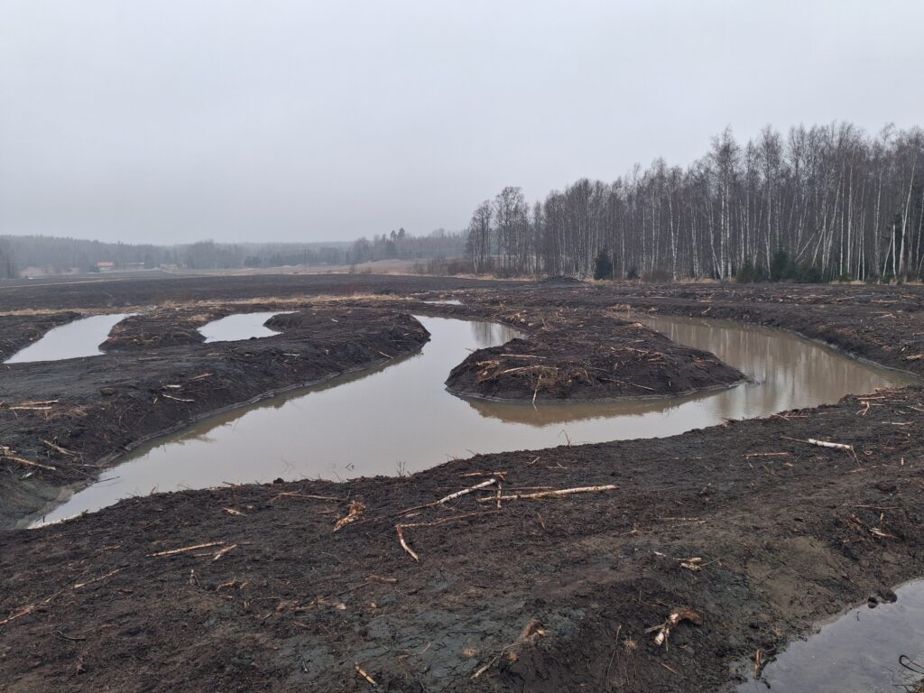 Wetland