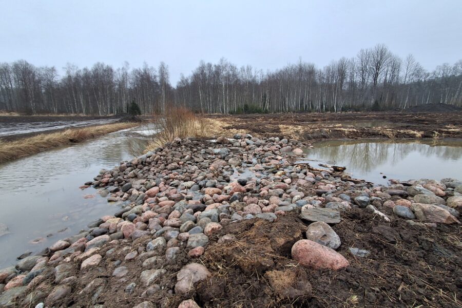 Nature-Based Solutions to Reduce Flooding and Nutrient Runoff in Tavastfjärden Catchment Area