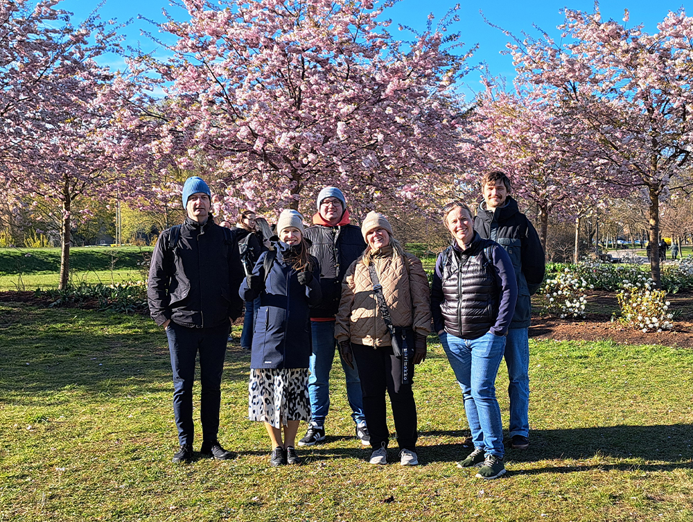 A group of six people standing together on a lawn in front of blooming pink cherry blossom trees