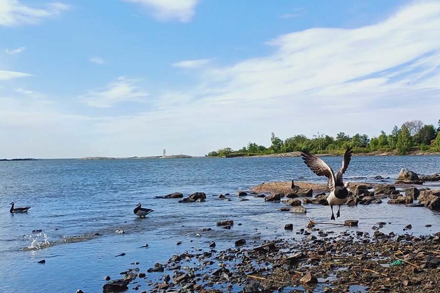 BaLiSEdu Project Kicks Off in Helsinki, Finland