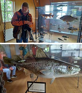 Participants explore the marine exhibition at Harakka Nature Centre during the BaLiSEdu project kick-off meeting in Helsinki.
