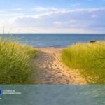 The Joint Secretariat Eases into Summer
