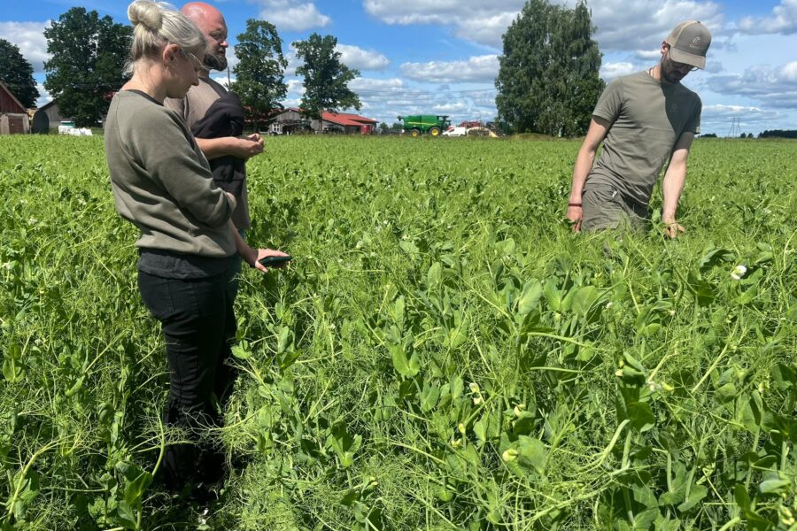 ReGen AGRI field trials are taking shape