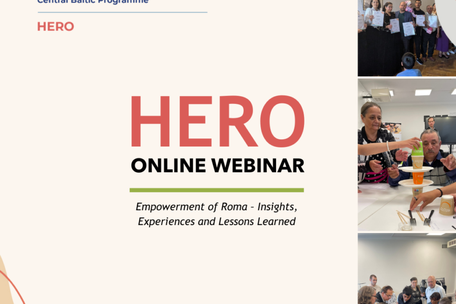Online webinar to share experiences in promoting Roma employment and inclusion