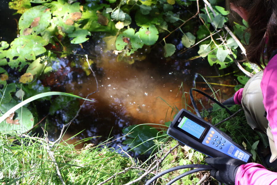 Pre-restoration measurements have started