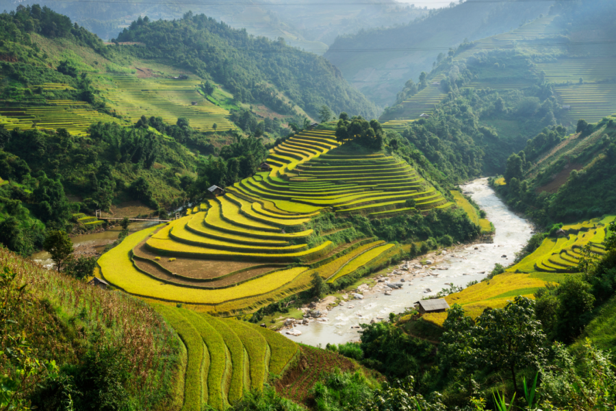Green Transition in Vietnam: Opportunities for CleanTech Companies