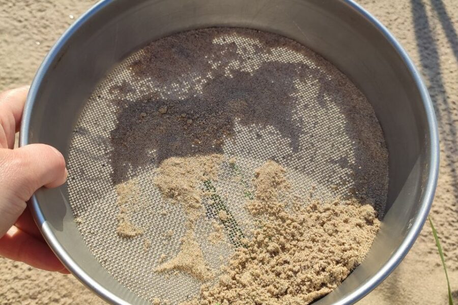 CLEAN Beach final workshop in Estonia: join us to explore microplastic monitoring on beaches!
