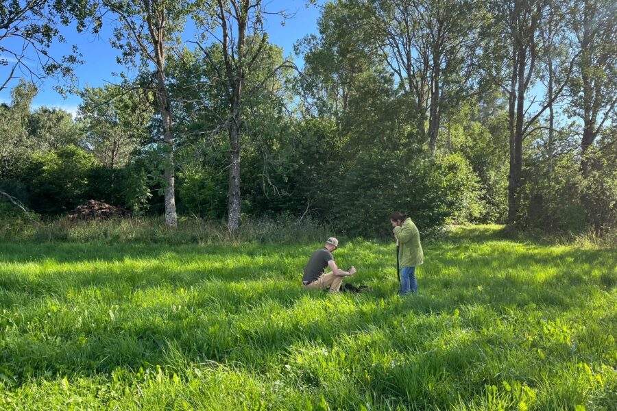 How to measure nutrient leaching in the fields and manure piles?