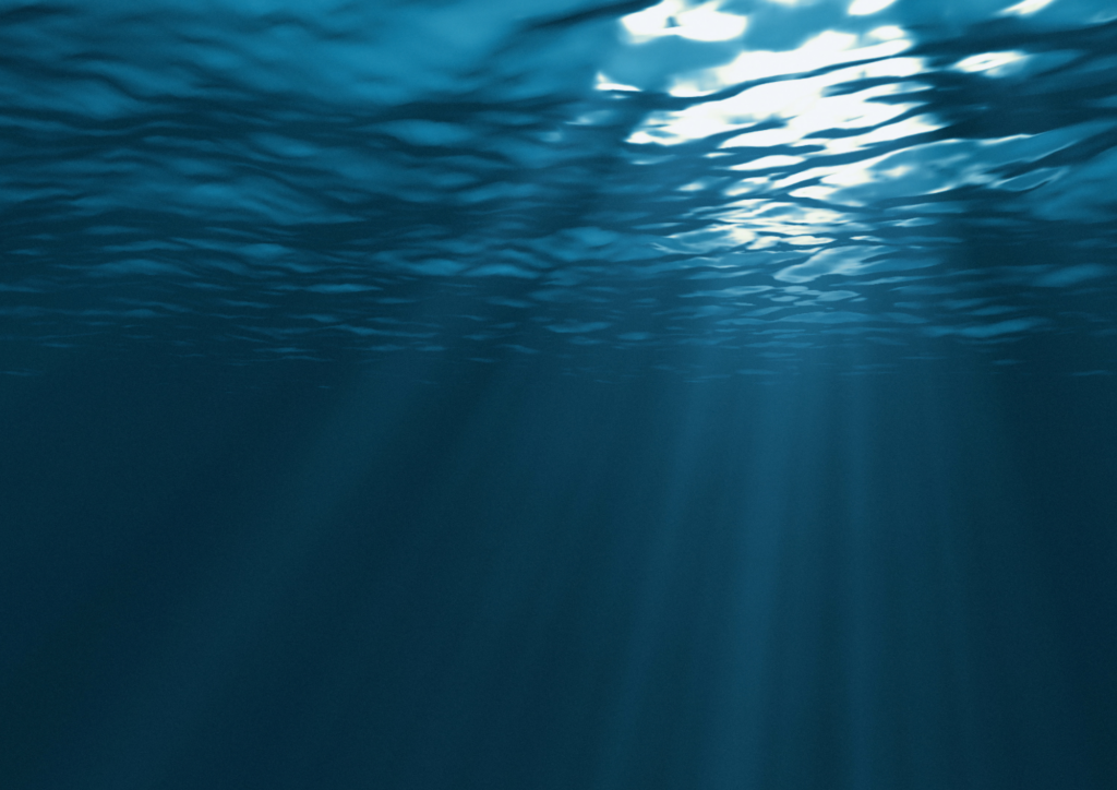 underwater picture with lights coming in from above.