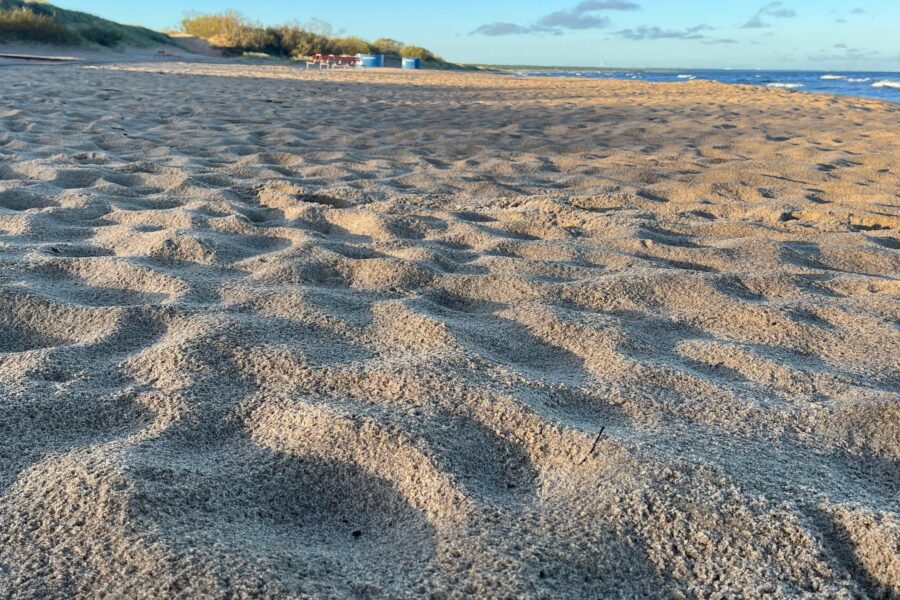 Plastic pellets and microplastics on the shores of the Baltic Sea – what have we learned from the CLEAN Beach and PELLET projects?